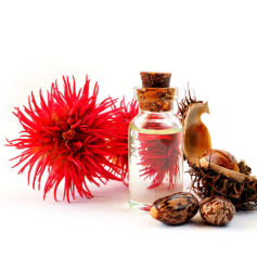 Aceite de Ricino 1ª Presión