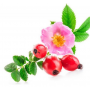 Aceite Rosa Mosqueta Virgen 1ª Presión