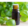 Aceite Esencial de Albahaca