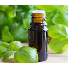 Aceite Esencial de Albahaca